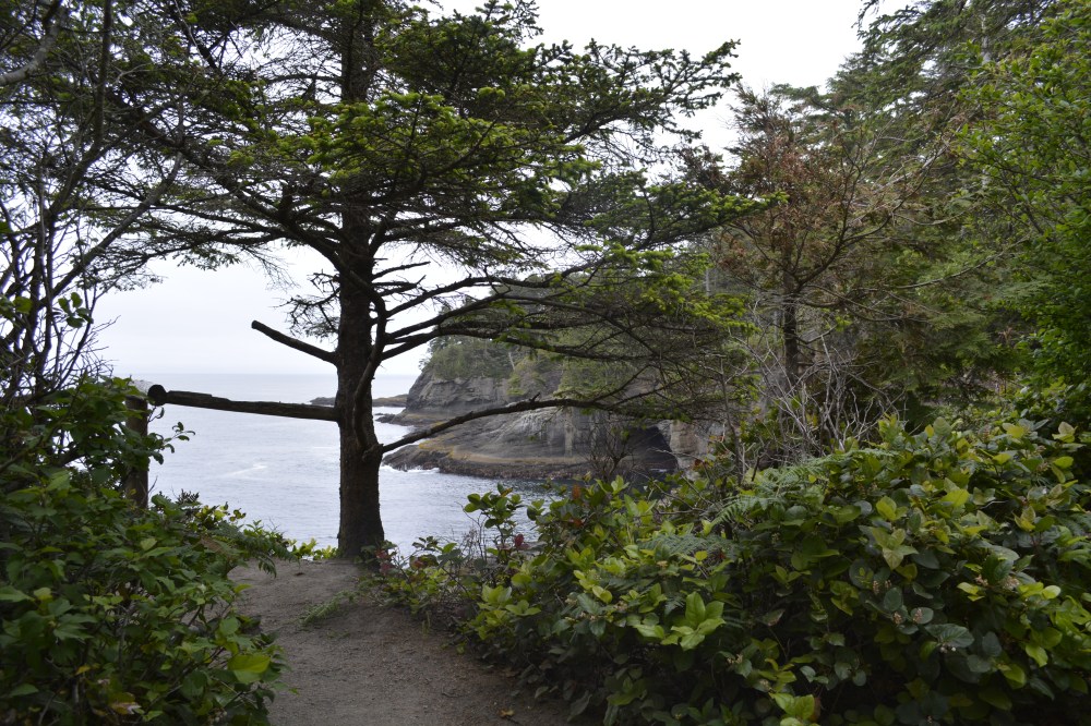Cape Flattery