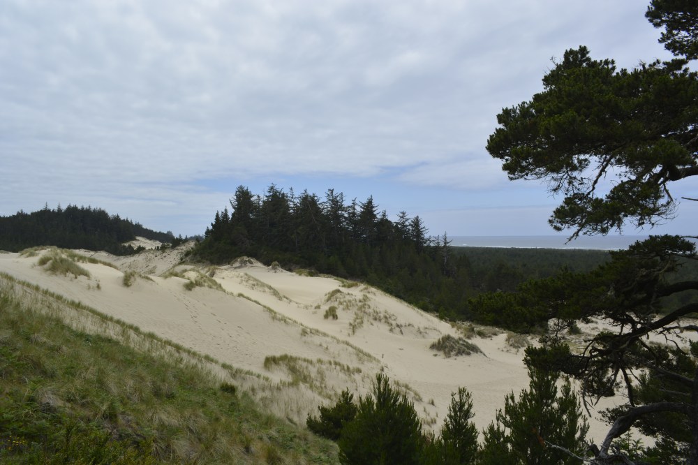 Oregon sand dunes