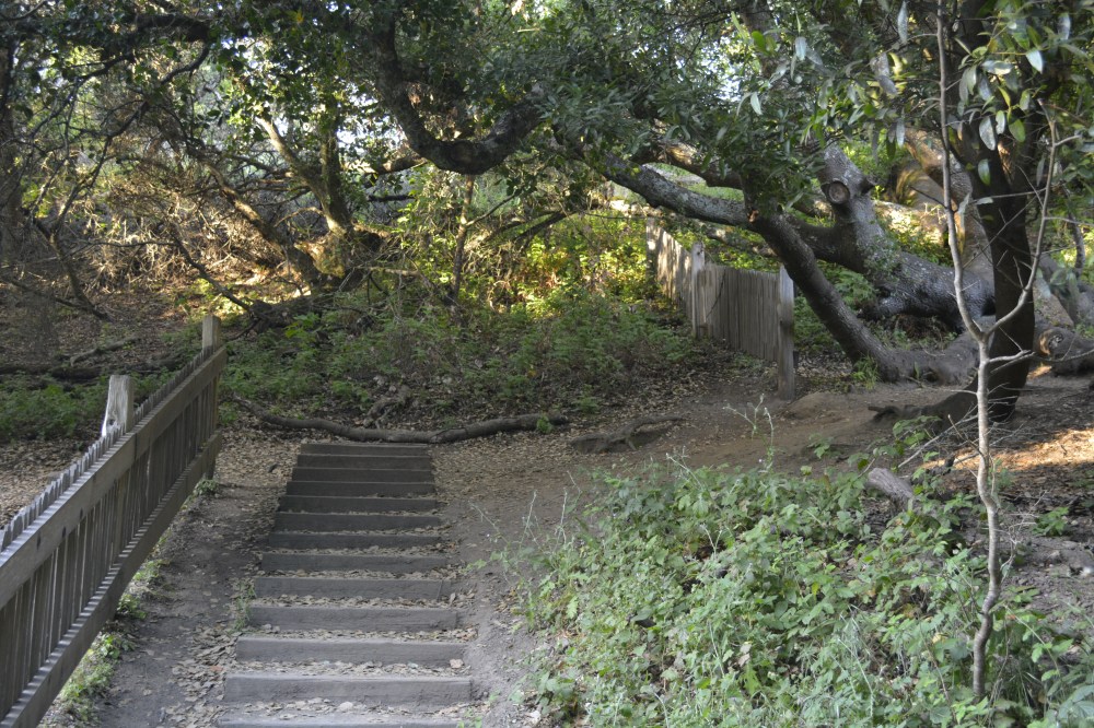 San Anderas Foult line