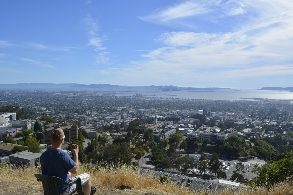 Evästauko Berkeley Hillsillä