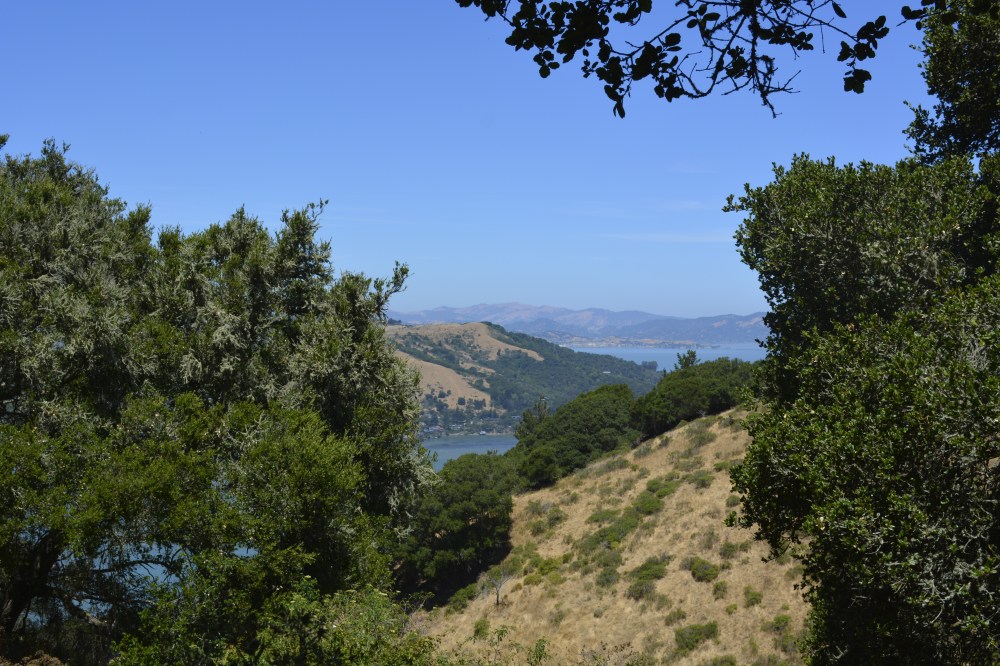 Angel Island