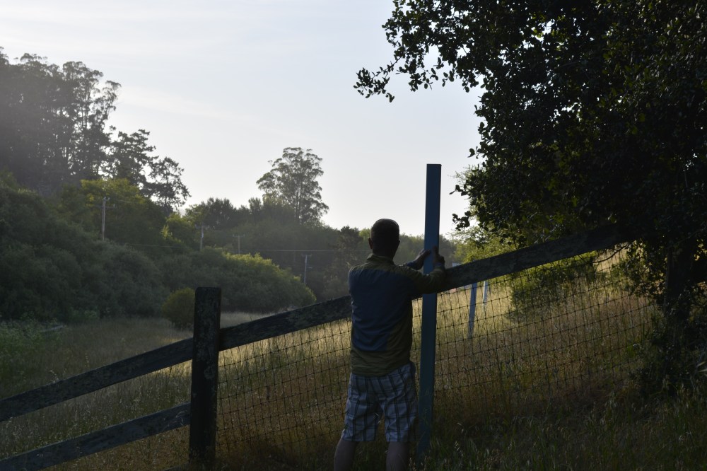 San Andras Foult line at Point Reyes