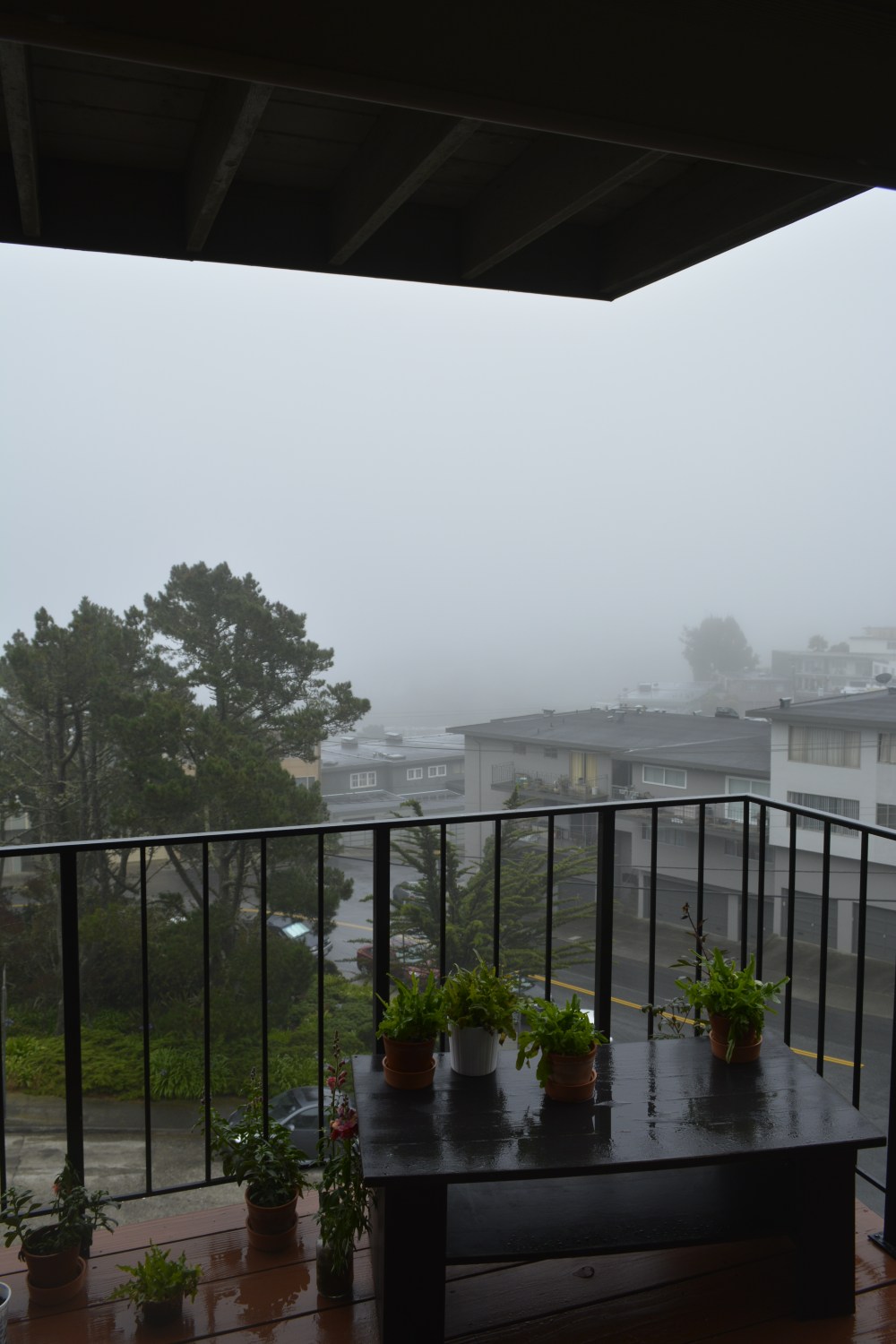 San Francisco summer fog