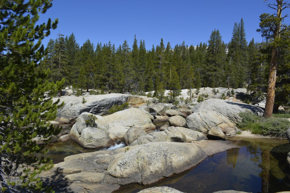 Tuolumne River