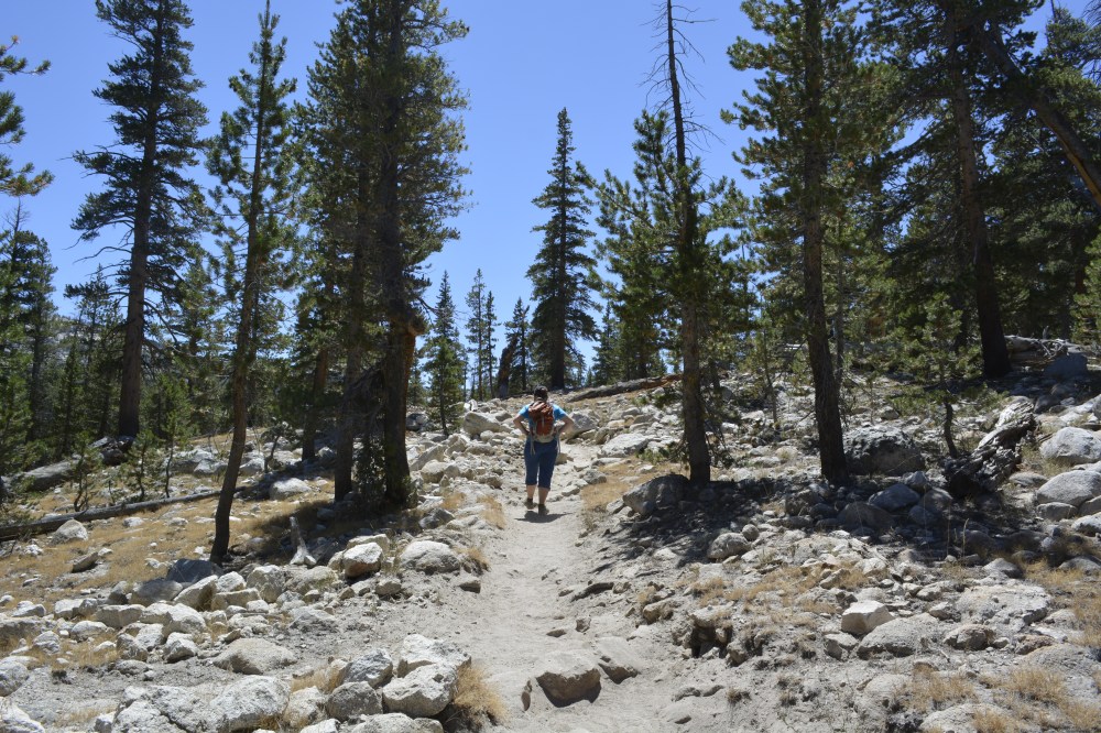 Towars Tuolumne Pass