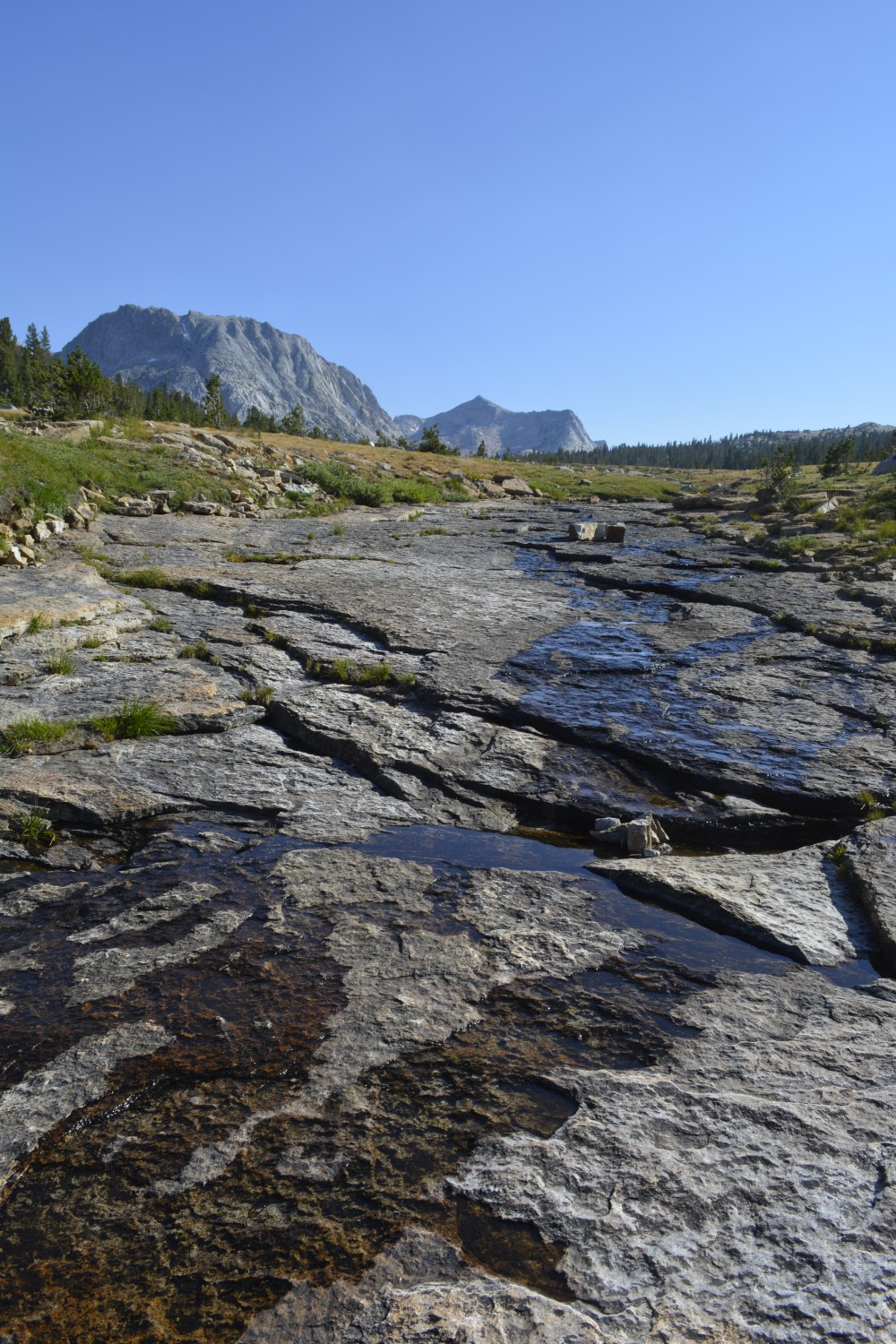 Rafferty Creek mid August