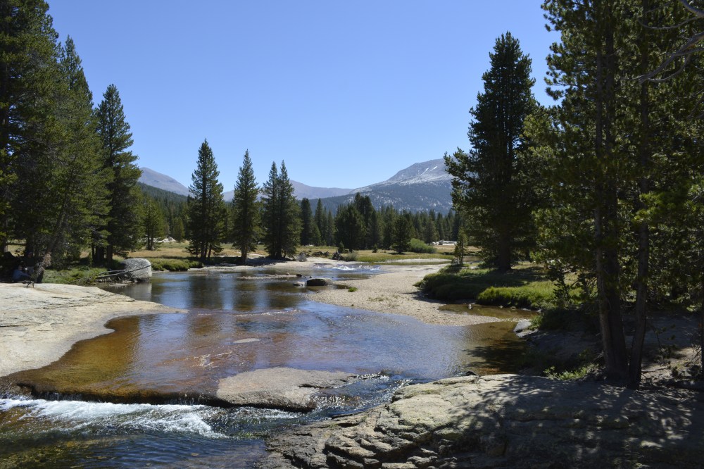 Tuolumne Meadows