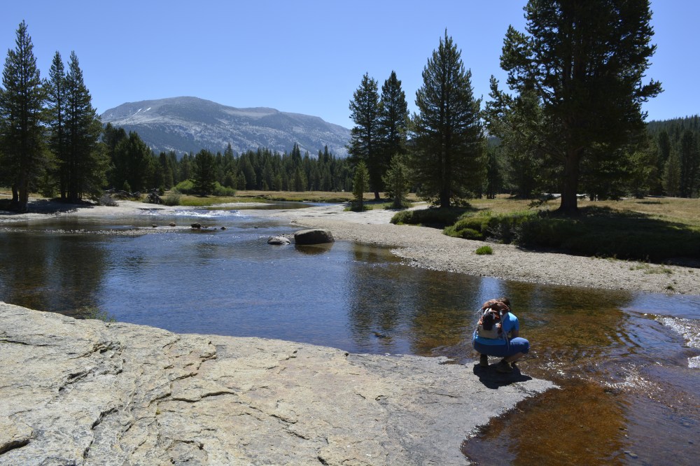 Tuolumne Meadows