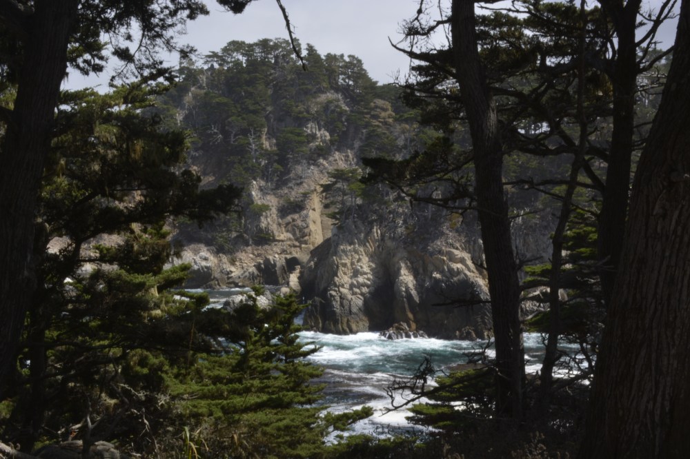 Point Lobos