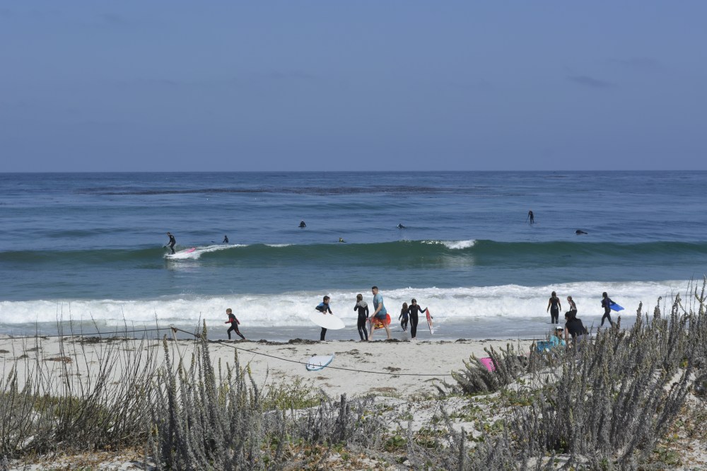surfing along 17 mile drive