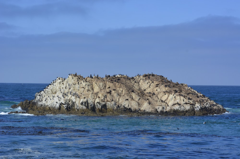 17 mile drive