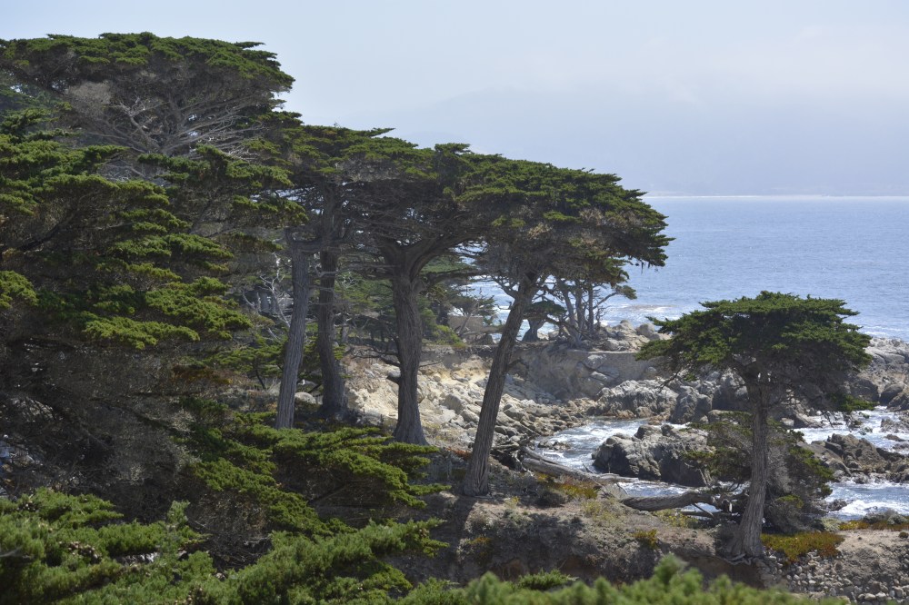 17 mile drive