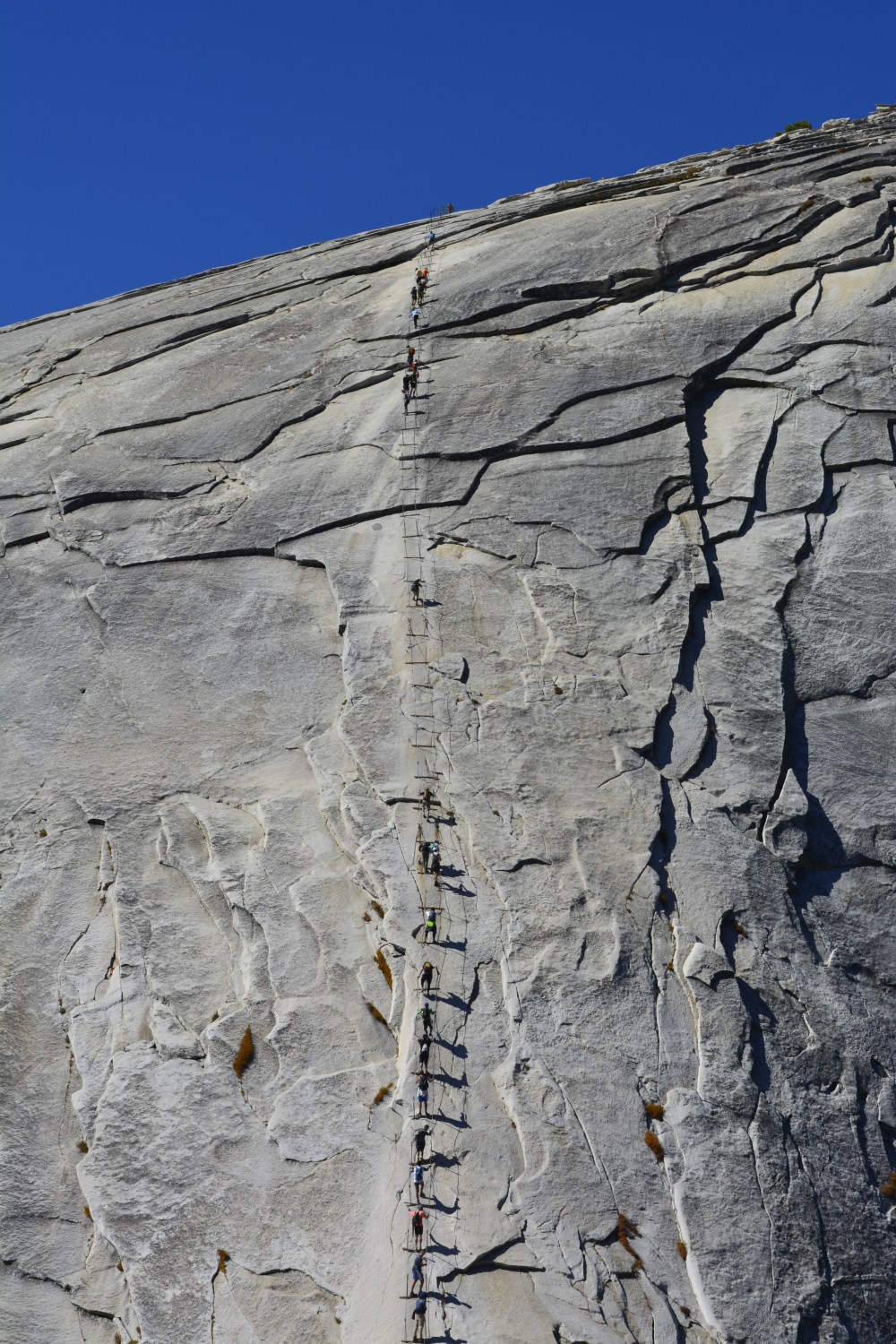 Half Dome Cables