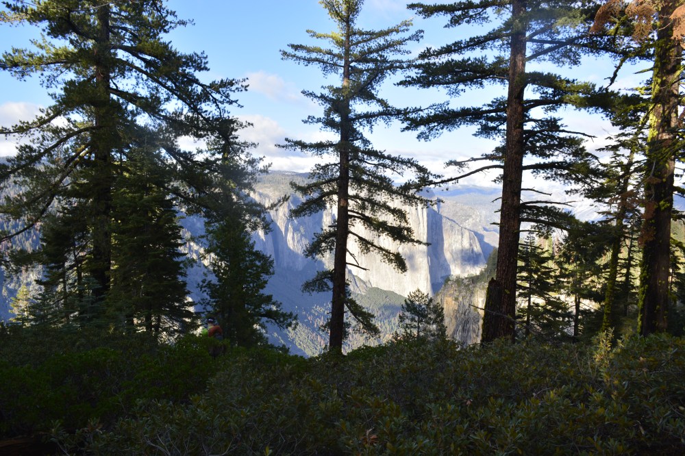 El Capitan from Pohono Trail