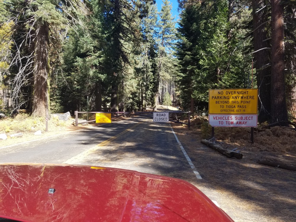 Tioga Road Closure