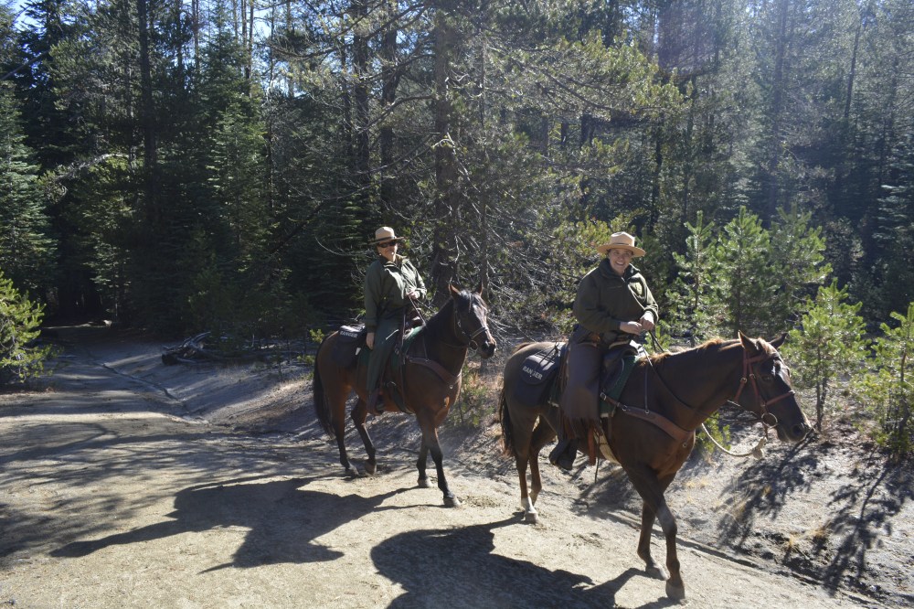 Yosemite Rangers on horses