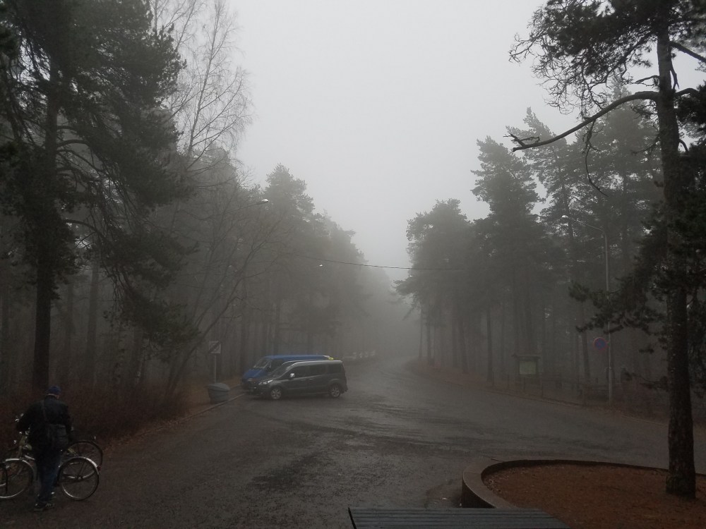 Pyynikki marraskuussa