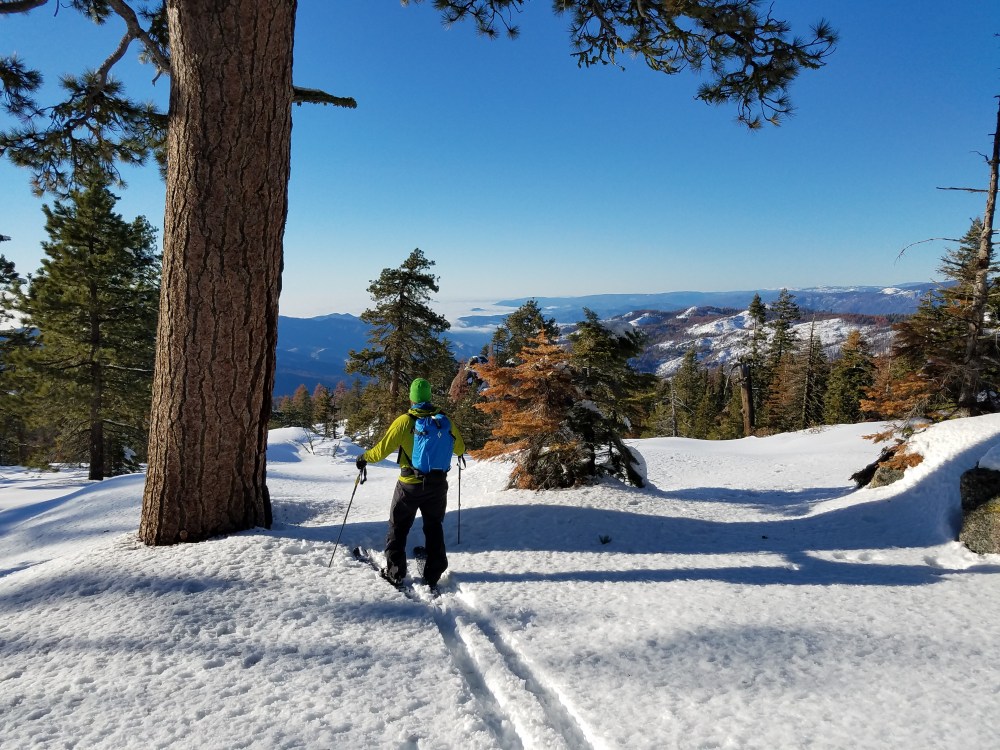 Karvapohjasukset, skinbased