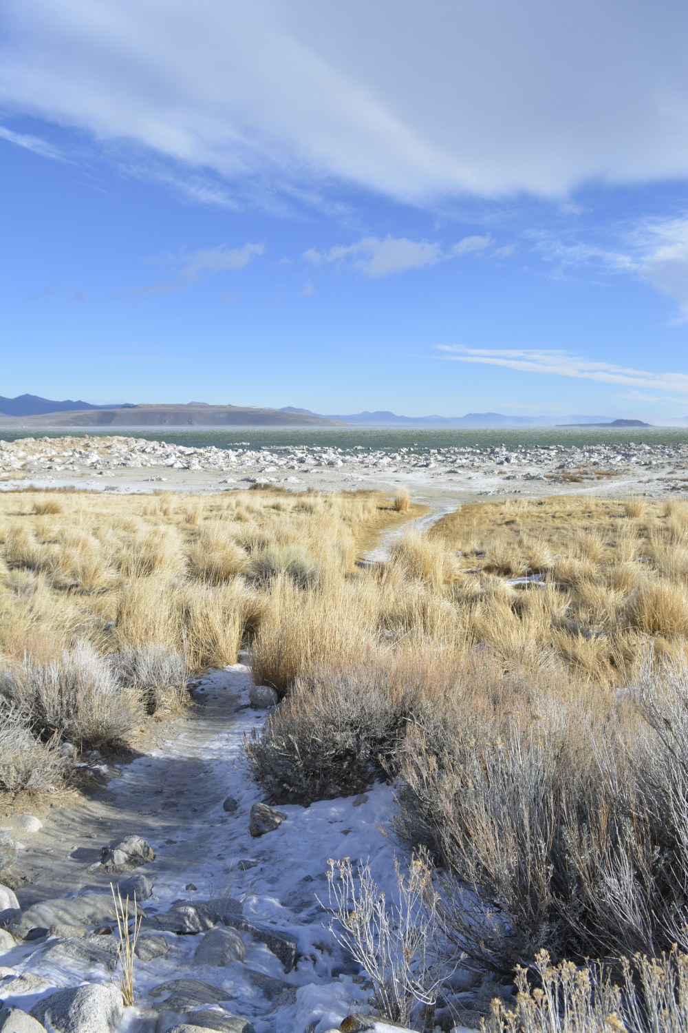 Mono Lake