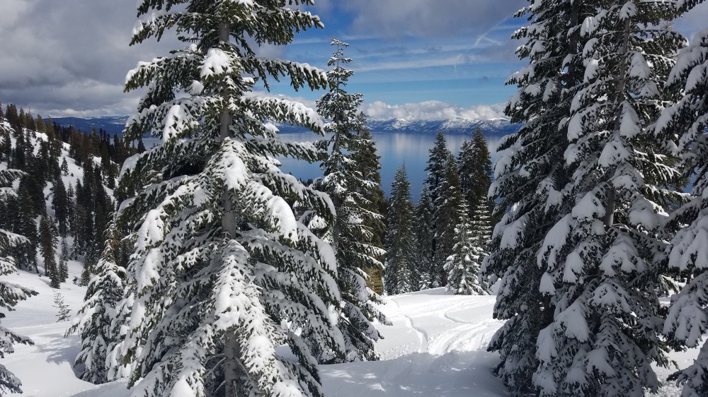 Ski Lake Tahoe