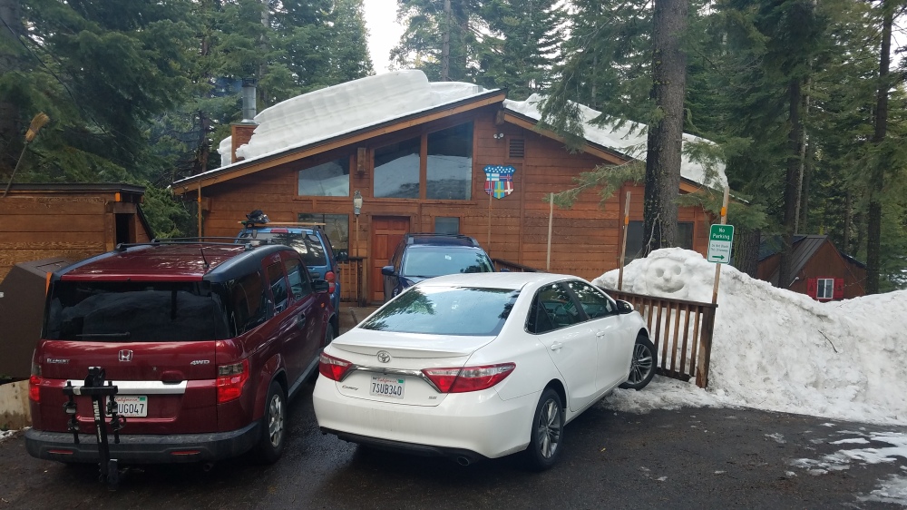 Young Scandinavian Club Lake Tahoe cabin