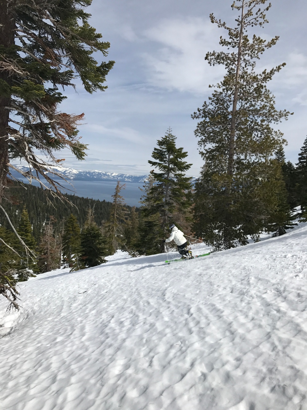 Telemark skiing Homewood