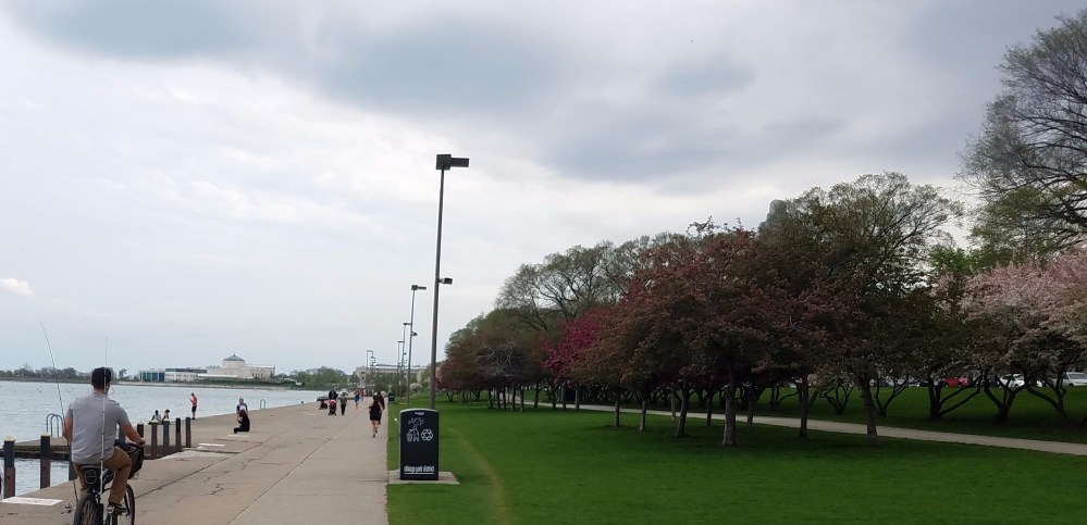 Lake Michigan shoreline