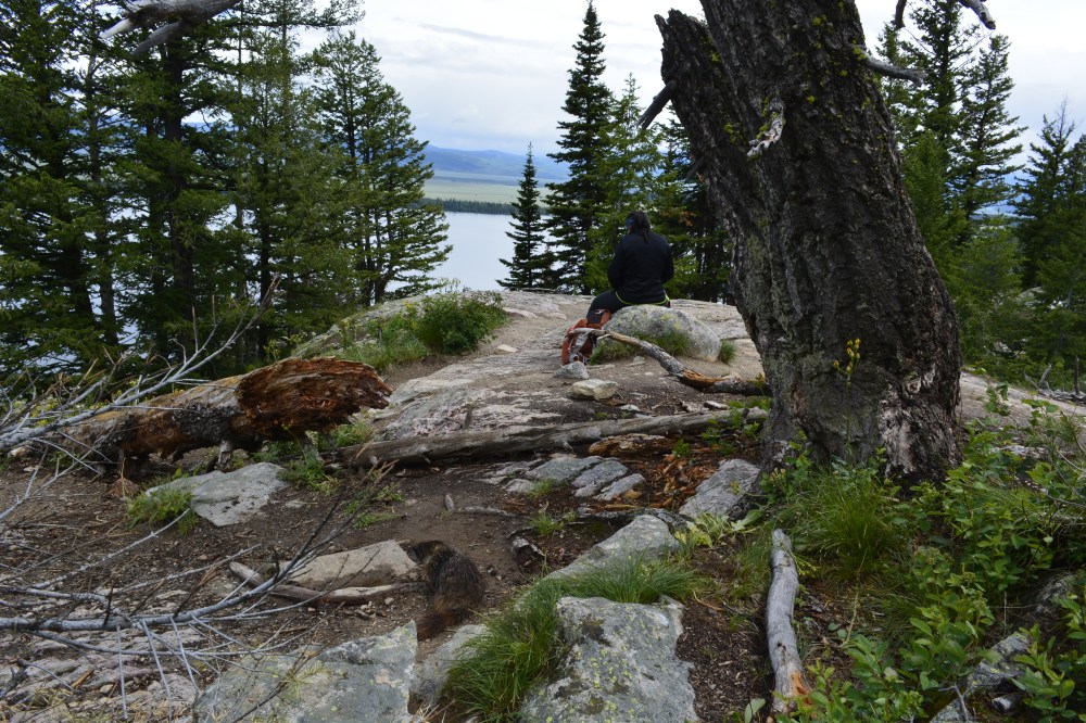 Grand Teton National Park