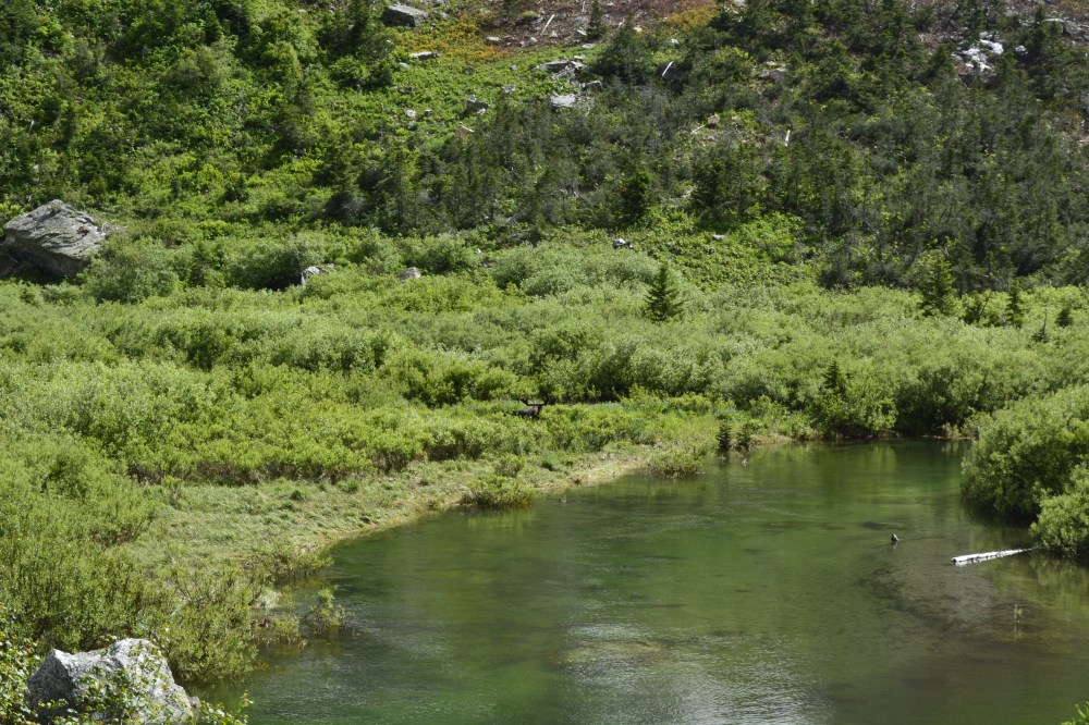 Grand Teton National Park