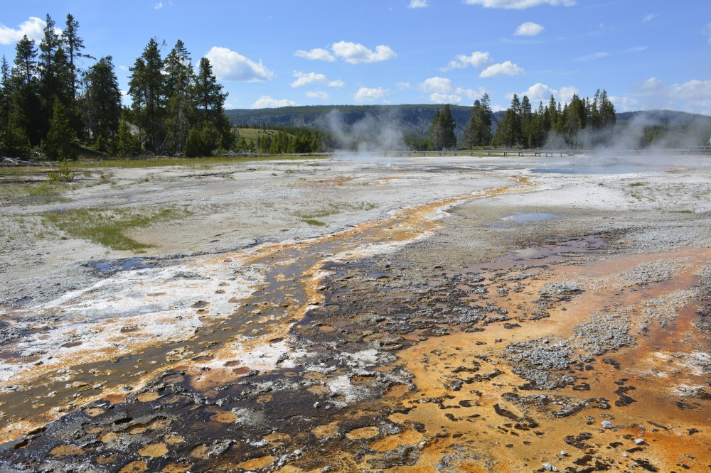 Yellowstone