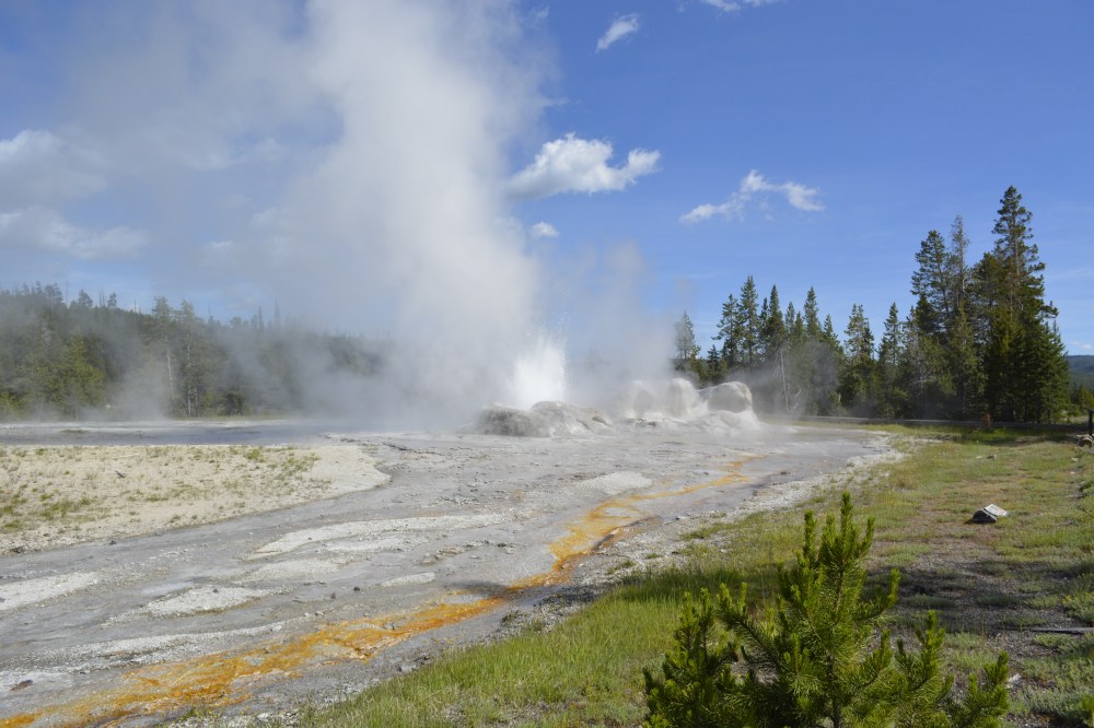 Yellowstone