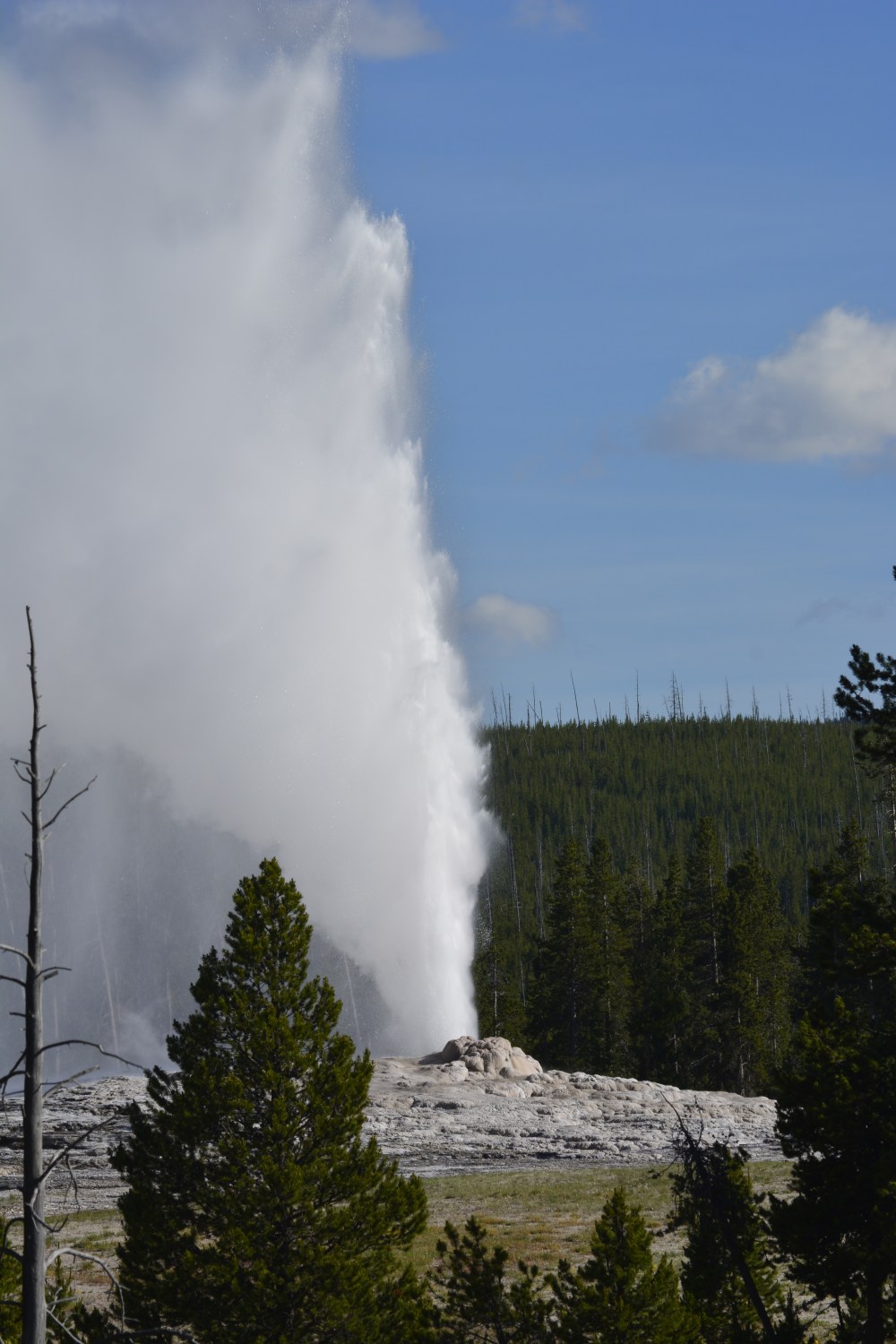 Yellowstone