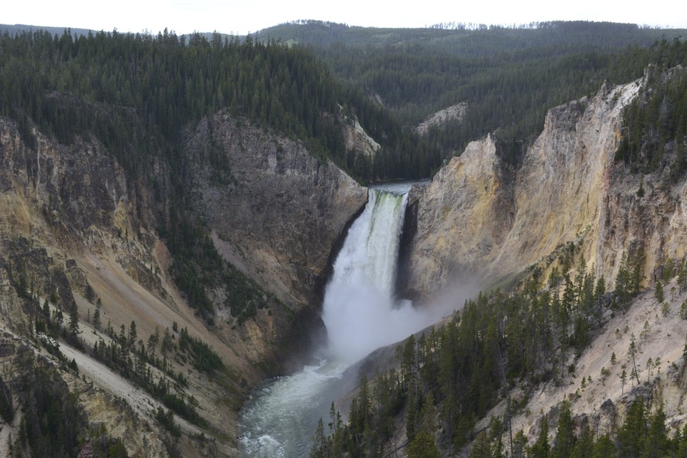 Grand Canyon of Yellowstone