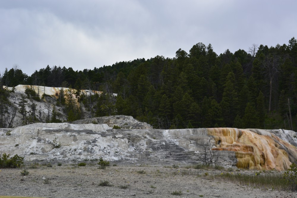 Yellowstone