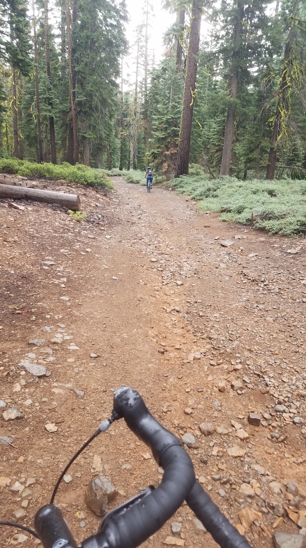 Biking North Lake Tahoe